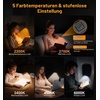 Gritin 2026 Gen 2 Leselampe Buch Klemme 30 Augenschonende Vollspektrum-LEDs(Schwarz)