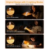 Gritin 2026 Gen 3 Leselampe Buch Klemme mit 14 Augenpflege Vollspektrum LED(Lila)