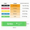 Gritin Fitnessbänder Widerstandsbänder mit 5 Stufen(Grün + Blau + Gelb + Pink + Schwarz)